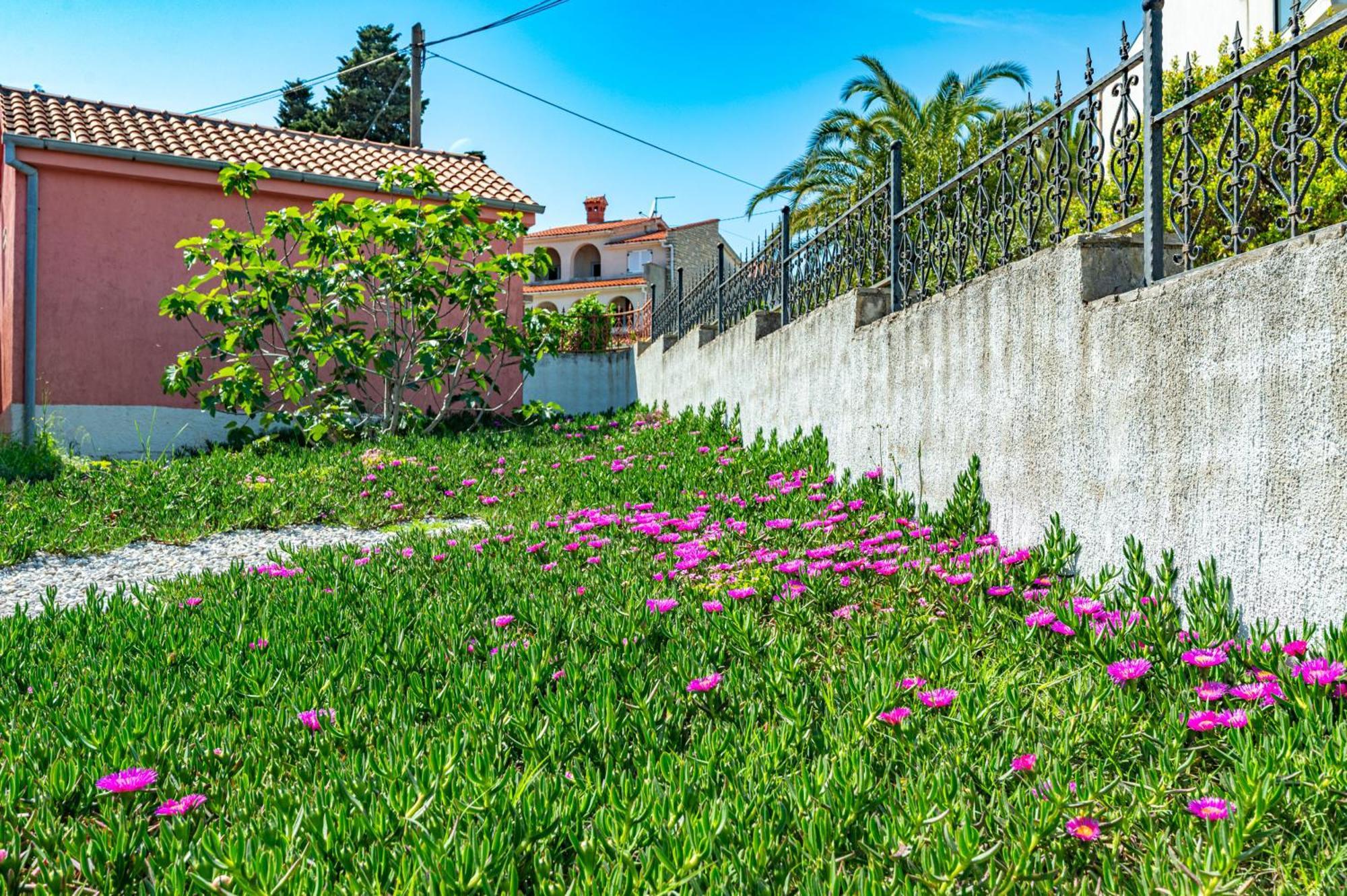 Villa Valentina Premantura Dış mekan fotoğraf